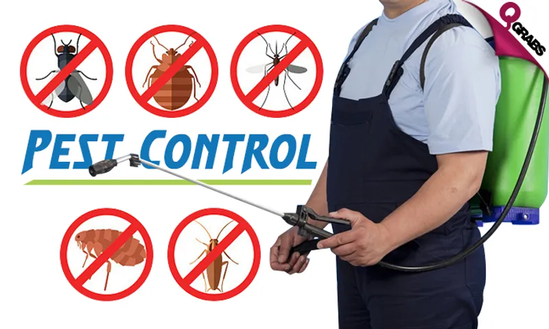 Professional Pest Control Services!